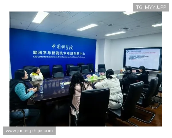 全国锦标赛回顾：杭州排球队展现卓越实力与团队精神