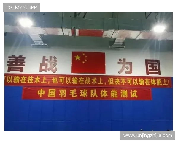 西安羽毛球队战术解析与控制体系的深度剖析与实践应用